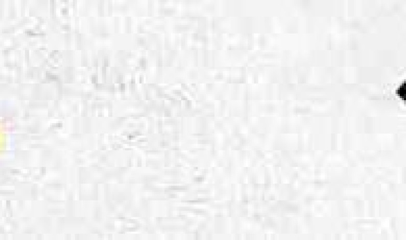 Stuttgart Festival of Animated Film Early Bird Deadline Stuttgart Festival of Animated Film Early Bird Deadline