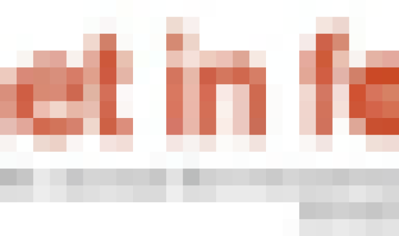 Reel Asian Wraps its 17th Annual Festival Reel Asian Wraps its 17th Annual Festival