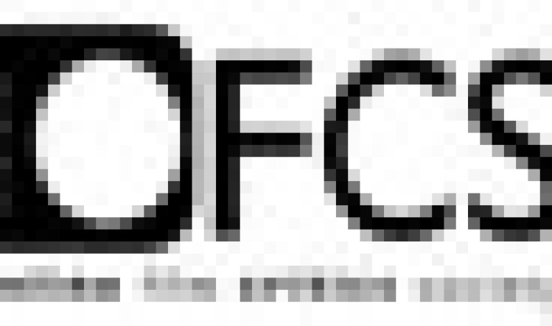 OFCS Announces Winners of its 17th Annual Awards OFCS Announces Winners of its 17th Annual Awards