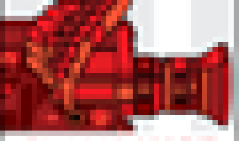 Slamdance Screens DIY Documentary @ 20th Annual Festival Slamdance Screens DIY Documentary @ 20th Annual Festival