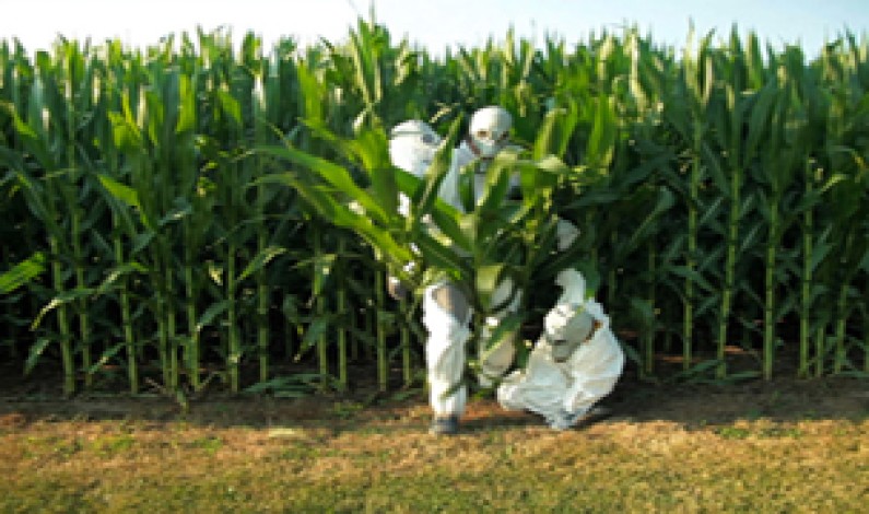 GMO OMG – Canadian Release July 25th GMO OMG – Canadian Release July 25th